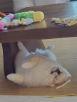 프로필 사진