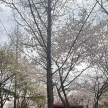 프로필 사진