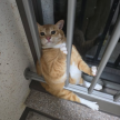 프로필 사진