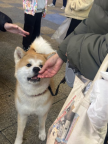 프로필 사진