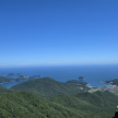 프로필 사진