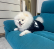 프로필 사진