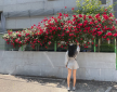 프로필 사진