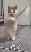 프로필 사진