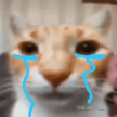 프로필 사진