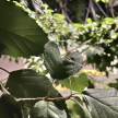 프로필 사진