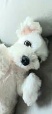 프로필 사진