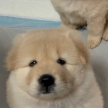 프로필 사진