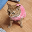 프로필 사진