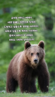 프로필 사진