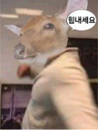 프로필 사진