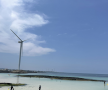 프로필 사진