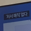 프로필 사진