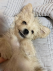 프로필 사진