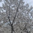 프로필 사진