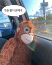프로필 사진