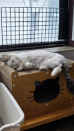 프로필 사진