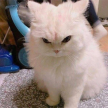 프로필 사진