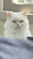 프로필 사진
