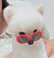 프로필 사진