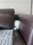 프로필 사진