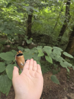 프로필 사진