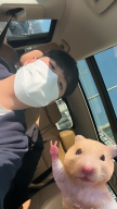 프로필 사진