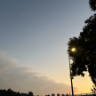 프로필 사진