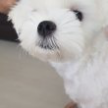 프로필 사진