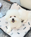 프로필 사진