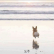 프로필 사진