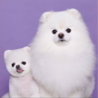 프로필 사진