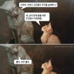 프로필 사진