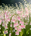 프로필 사진