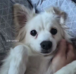 프로필 사진