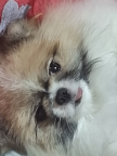 프로필 사진