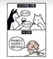 프로필 사진