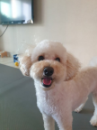 프로필 사진