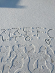 프로필 사진