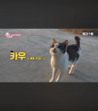 프로필 사진