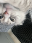 프로필 사진