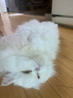 프로필 사진