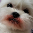 프로필 사진
