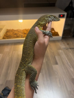 프로필 사진