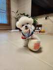 https://thecheat.co.kr/fs_sbl/member/2026/03/02/a5fdbea11d1e2c394bd2716e536457f5.png