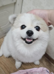 프로필 사진