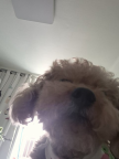 프로필 사진