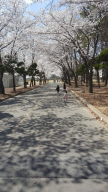 프로필 사진