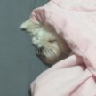 프로필 사진