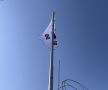프로필 사진